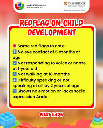 Image result for Developmental Red Flags