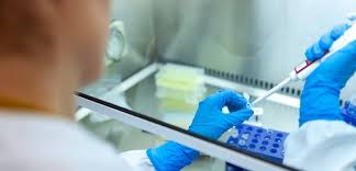El laboratorio reservarã¡ entre 85 y 100 millones de estas dosis a estados unidos y entre 15 y 25 millones serã¡n pata el resto del mundo. Quien Es Moderna La Empresa A La Cabeza En La Carrera De La Vacuna Contra El Covid 19 Plantadoce