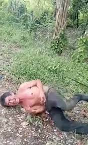 Documenting real life true crime cases as well as the images and videos that go with knowyourmeme.com. Real Death Videos Warning Graphic Videos