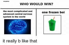 17 Who Would Win Ideas Funny Memes Funny Pictures Memes
