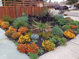 Droughts quickly take their toll on most perennial flowering plants, threatening their lives and leaving their gardens unsightly messes. Drought Tolerant Plants For Northern California Sacramento Drought Tolerant Garden Drought Resistant Landscaping Drought Resistant Plants