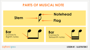 Gbdfa good boys do fine always. and for the spaces: What Are The Musical Notes And Different Types Of Musical Note