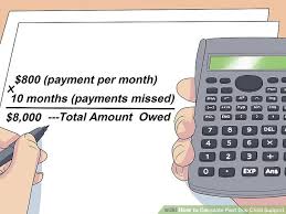 How To Calculate Past Due Child Support 11 Steps With