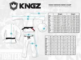 Kingz Balistico 2 0 Jiu Jitsu Kimono White