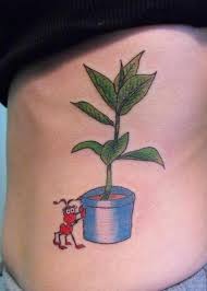 Download acacia tree stock vectors. 22 Plant Tattoo Designs