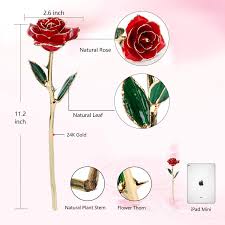 We did not find results for: Amazon Com Luohe 24k Gold Rose Dipped Flower Galaxy Forever Rose Flower With Stand Unique R Valentines Day Gifts For Her Unique Romantic Gifts 24k Gold Rose
