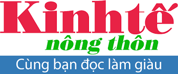 Khi tôi đang ngồi uống nước thì nghe thấy tiếng nổ lớn, khi chạy ra thì người dân nói có người bắn xe tôi. Thanh Chá»­i DÆ°Æ¡ng Minh Tuyá»n Bá»‹ Báº¯n Táº¡i Háº£i DÆ°Æ¡ng Kinh Táº¿ Nong Thon