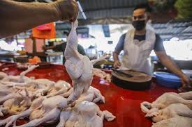 Find your perfect hotel using tripadvisor's real traveler reviews. Different Festive Season Same Story Say Chicken Traders Left To Bear Brunt Of Customers Anger Over Price Spike Malaysia Malay Mail