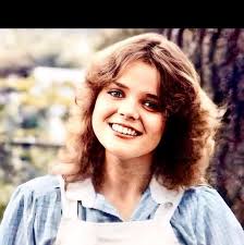 Mechanic for older GM vehicles with OBD1 and 350 V8 TBI setup?