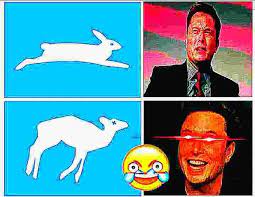 Pin On Elon Musk Memes