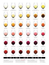 Wine Colour Chart Wine Colour Explained