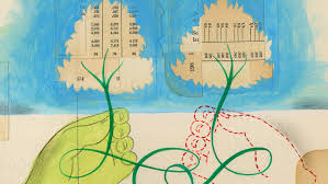 Most Health Savings Account Owners Stick With Conservative Options Shots Health News Npr