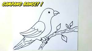 Gambar sketsa burung memang merupakan salah satu objek gambar yang apik dan banyak juga yang menyukainya terutama anak kecil dan pecinta burung khususnya. Gambar Burung Mudah Ditiru Belajar Menggambar Youtube