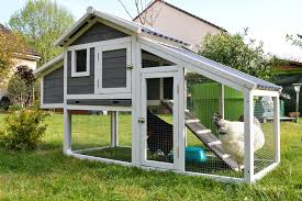 If you're planning to build a duck coop, be sure to follow these 10 important duck coop considerations. Chicken Coop Cost Cost To Build Chicken Coop