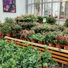 Gewächshausbau mike fötsch gartenbaubetrieb busmannstr. Dehner Garten Center Garden Center In Dresden