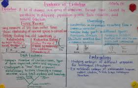Biochemistry Tests For Food Macromolecules Answers Biochemistry Final Review Sheet Properties Of Water Macromolecules Nitrogen Cycle Ecosystems Food Chains Populatio Biology Notes Biology Science Biology