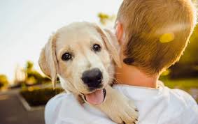 868 likes · 43 talking about this · 44 were here. Pet Supplies In Bermuda Aquatic Store Dog Food Store In Bermuda Noah S Ark Feed Supply Bermuda