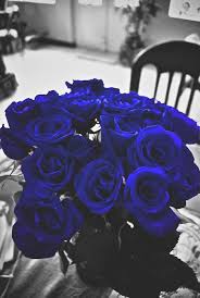 Black And Blue Roses Delivery Pin By Sara Kelley On Roses Blue Roses Blue Flowers Flowers
