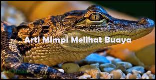 Apa arti mimpi digigit buaya? 15 Arti Mimpi Melihat Buaya Yang Perlu Anda Ketahui