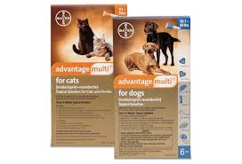 Advantage Multi For Dogs And Cats For Veterinary Professionals