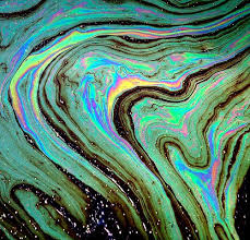 Not Found Art What S My Favorite Color Patterns In Nature