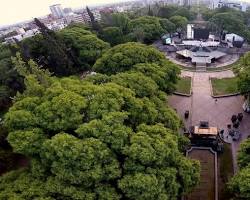 Immagine di Plaza Independencia Mendoza