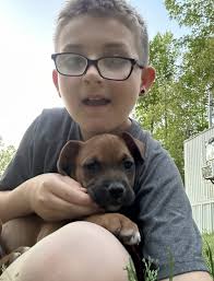 Vote for daughter in contest to support memorial foundation