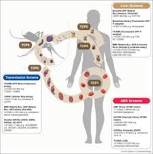 Electric and magnetic elds of the earth; The Antimalarial Screening Landscape Looking Beyond The Asexual Blood Stage Sciencedirect
