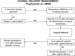 Image result for Active Labor Anesthesia