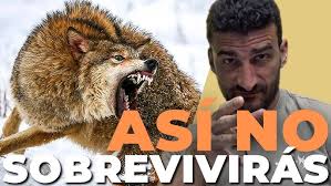 TOP 3 Formas para NO SOBREVIVIR a un ATAQUE de ANIMAL Salvaje