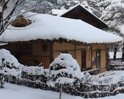 강원도 국립대관령자연휴양림 풍경, AI로 생성