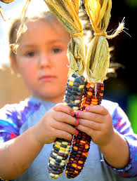 Despite viral, environmental setbacks, Canaan farm sells pumpkins to  benefit Make-A-Wish