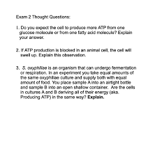 Animal cell culture exam questions. Exam 2 Thought Questions 1 Do You Expect The Cell Chegg Com