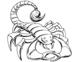 With over 4000 coloring pages including spiderman 08 cartoons coloring pages. Spiderman Scorpion Coloring Pages Coloring Pages Ideas