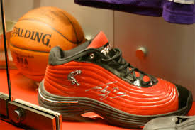 Shaquille o'neal shoe size is 23. What About The Plastic Animals Shaq S Size 23 Shoe