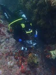 Correspondingly, how do you qualify for diving? Solo Diving Wikipedia