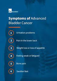 In males, the prostate gland is located adjacent to the base. A Detailed Look At Bladder Cancer Symptoms Cxbladder