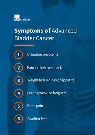 When should someone seek medical care for suspected bladder cancer? A Detailed Look At Bladder Cancer Symptoms Cxbladder