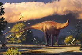 Its name means double beamed. Diplodocus Like Fossil In Uzbekistan Hints Asia Was A Dinosaur Hub New Scientist