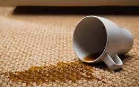 Coffee spills always happen at the most inconvenient time: How To Remove Coffee Stain From Carpet Like A Pro