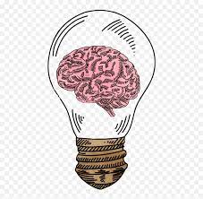 Maybe you would like to learn more about one of these? Draw Bulb Brain Transparent Cartoon Brain Drawing Cartoon Png Brain Transparent Image Free Transparent Png Images Pngaaa Com