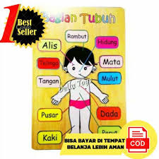26 gambar mewarnai terbaru untuk anak. Mainan Edukasi Anak Puzzel Anggota Tubuh Kayu Kado Ultah Mainan Anak Perempuan Laki Bayi Balita 3 4 Shopee Indonesia