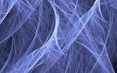 Spider Webs Desktop Wallpaper Spider Silk Spider Web Spider