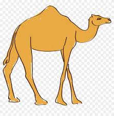 Easy step by step ! Dromedary Drawing Animation Camel Free Transparent Png Clipart Images Download