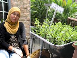 Tengah rumah di jogja tengah rmh cantik 2 lantai dekat malioboro rmh besar tepi jl timoho jogja rmh alam hijau 2,jambon rmh lux dijual disamping polda diy,rr utra rmh joglo+kebun salak di jl. Kebun Sayur Mini Di Rumah Inspirasi Desain Rumah 2019