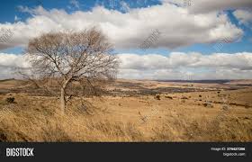 You have the best hunting gear, now get the best braai utensils to complete your trip. Beautiful Landscape Image Photo Free Trial Bigstock