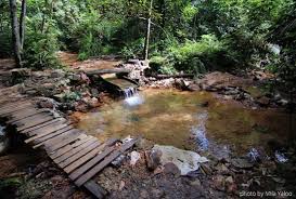 Length 2.9 mielevation gain 928 ftroute type loop. Gasing Hill Trekking