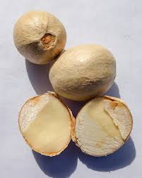 Image result for Melicoccus