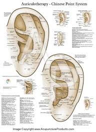 ear reflexology charts reflexology ear chart tips