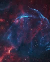 Image result for Searsia nebulosa